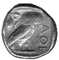 Owl - coll. P.P.